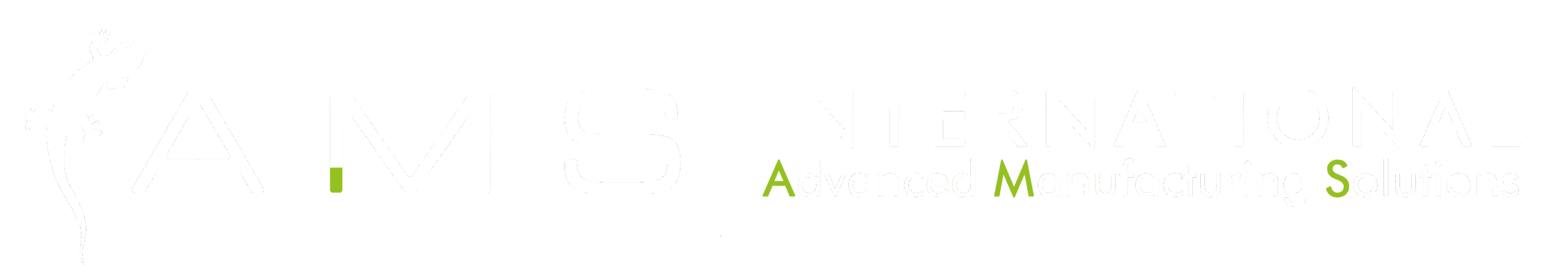 AMS International Sp. z o.o.